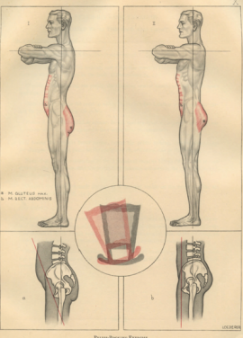This is an image from one of the earlier books and demonstrates the proper technique for preforming this spine correcting exercise